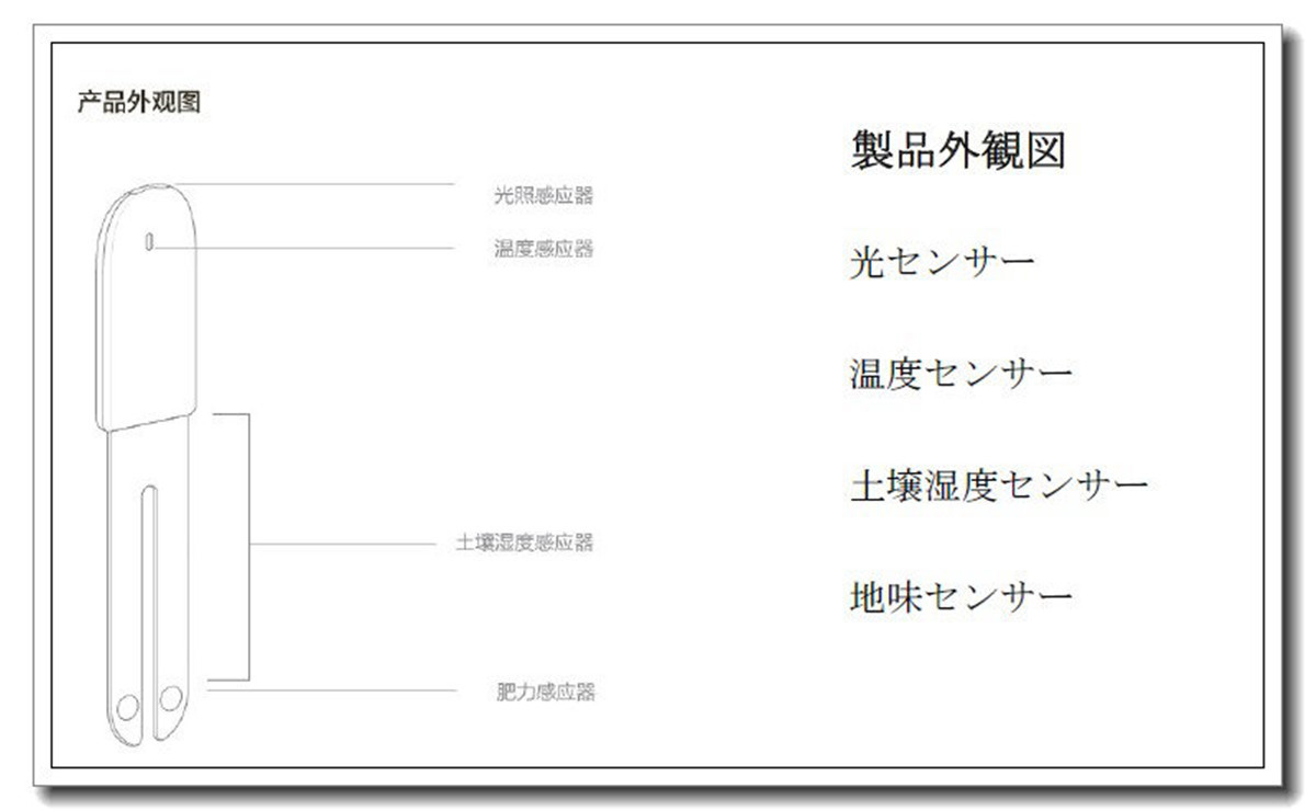 1584887004247128.jpg 1.jpg